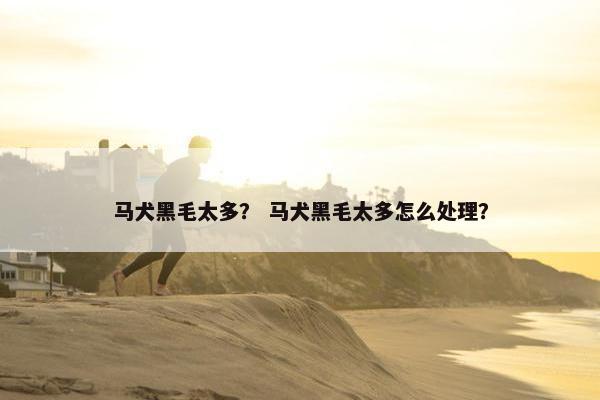 马犬黑毛太多？ 马犬黑毛太多怎么处理？