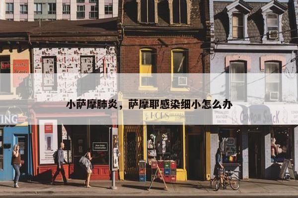 小萨摩肺炎，萨摩耶感染细小怎么办
