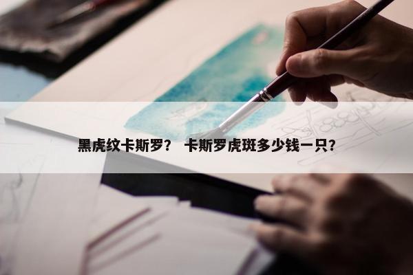 黑虎纹卡斯罗？ 卡斯罗虎斑多少钱一只？