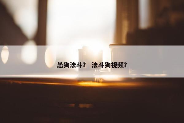怂狗法斗？ 法斗狗视频？