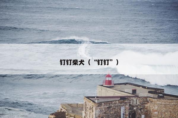 钉钉柴犬（“钉钉”）