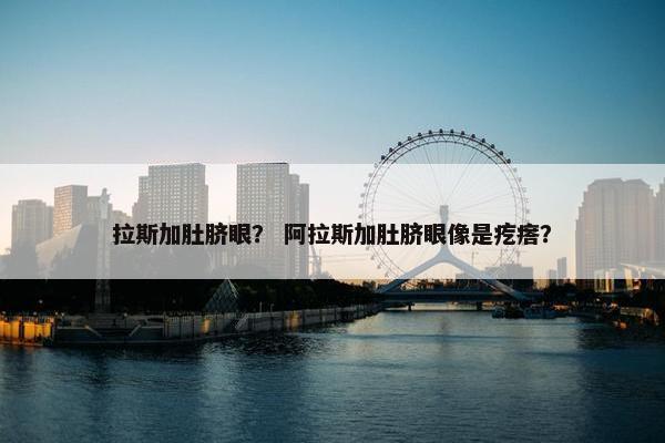 拉斯加肚脐眼？ 阿拉斯加肚脐眼像是疙瘩？