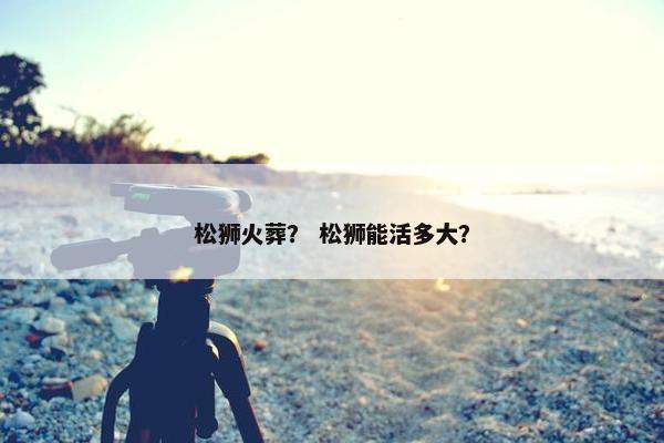 松狮火葬？ 松狮能活多大？