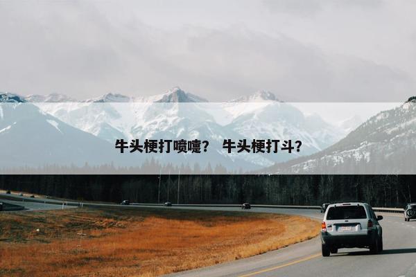 牛头梗打喷嚏？ 牛头梗打斗？