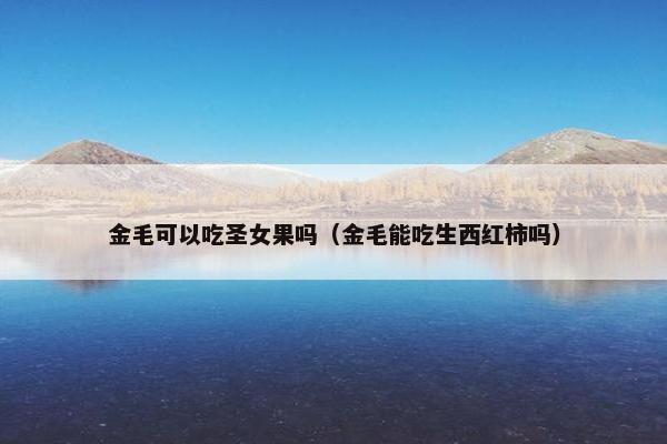 金毛可以吃圣女果吗（金毛能吃生西红柿吗）