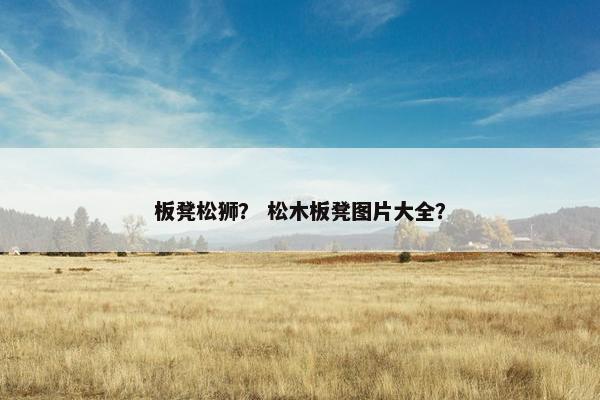 板凳松狮？ 松木板凳图片大全？