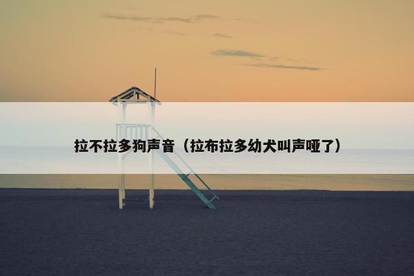 拉不拉多狗声音（拉布拉多幼犬叫声哑了）