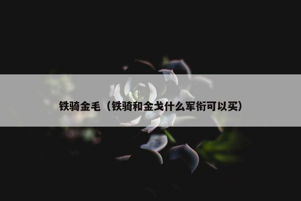 铁骑金毛（铁骑和金戈什么军衔可以买）