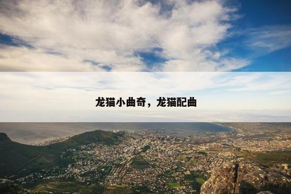 龙猫小曲奇，龙猫配曲