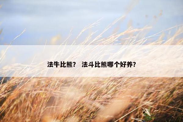 法牛比熊？ 法斗比熊哪个好养？
