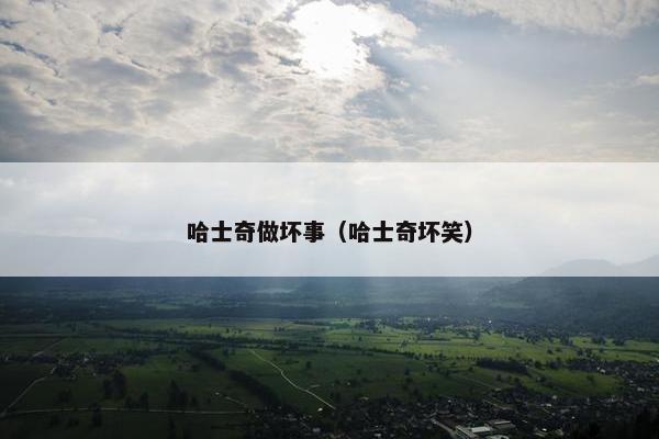 哈士奇做坏事（哈士奇坏笑）