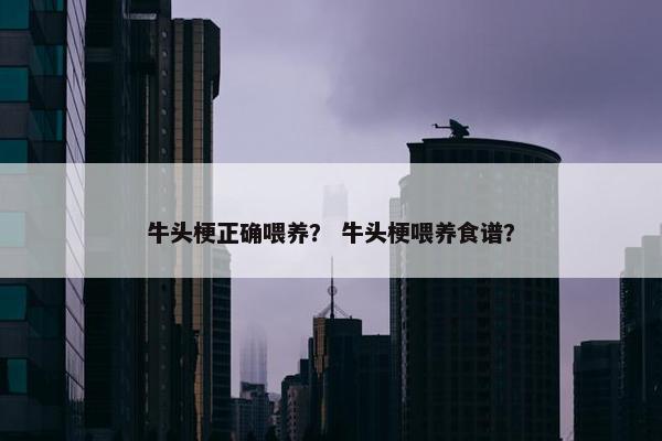 牛头梗正确喂养？ 牛头梗喂养食谱？