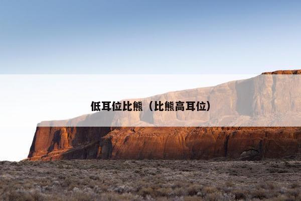 低耳位比熊（比熊高耳位）