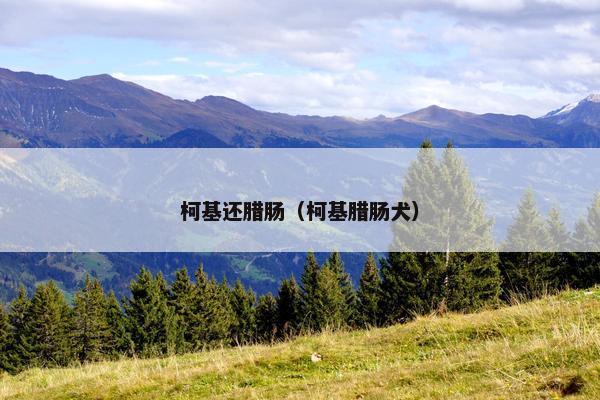 柯基还腊肠（柯基腊肠犬）