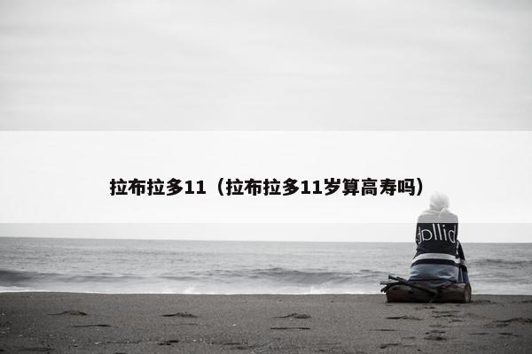 拉布拉多11（拉布拉多11岁算高寿吗）