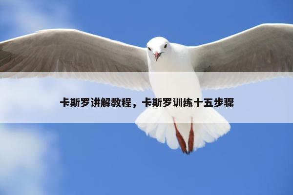 卡斯罗讲解教程，卡斯罗训练十五步骤