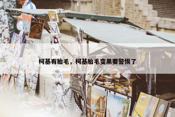 柯基有胎毛，柯基胎毛变黑要警惕了