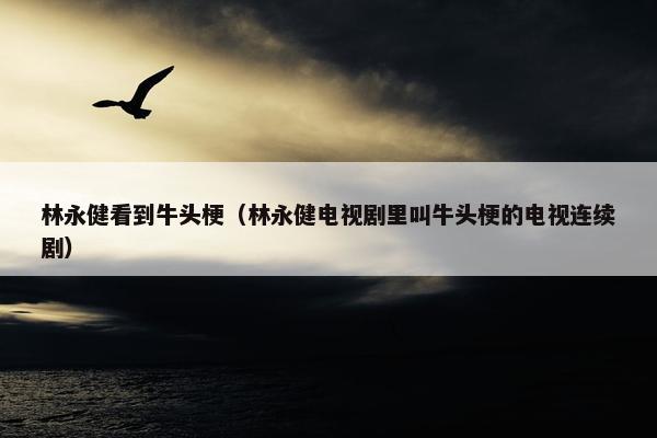 林永健看到牛头梗（林永健电视剧里叫牛头梗的电视连续剧）