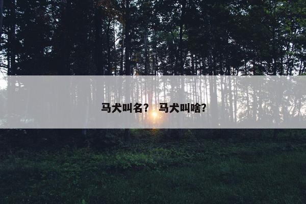 马犬叫名？ 马犬叫啥？