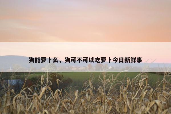 狗能萝卜么，狗可不可以吃萝卜今日新鲜事