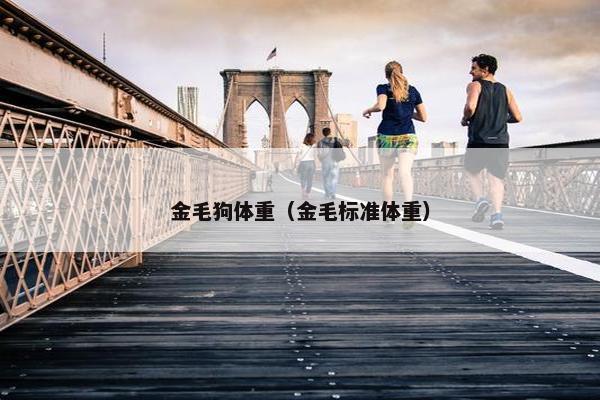 金毛狗体重（金毛标准体重）