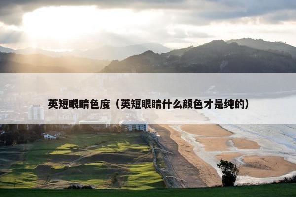 英短眼睛色度（英短眼睛什么颜色才是纯的）