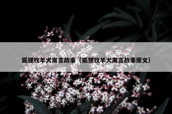 狐狸牧羊犬寓言故事（狐狸牧羊犬寓言故事原文）