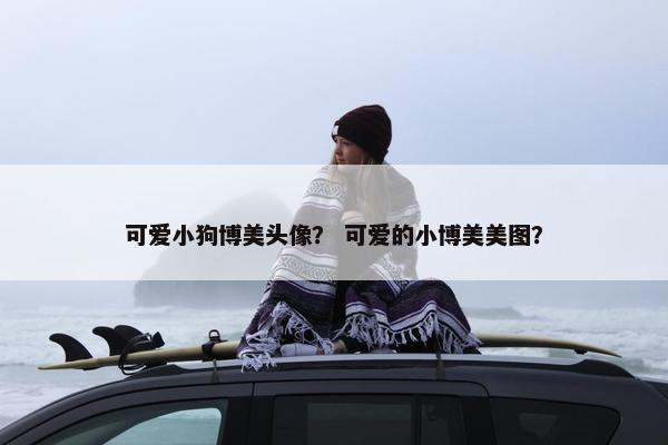 可爱小狗博美头像？ 可爱的小博美美图？