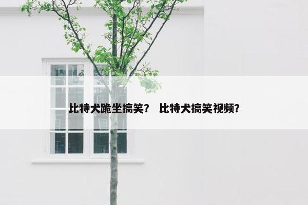 比特犬跪坐搞笑？ 比特犬搞笑视频？