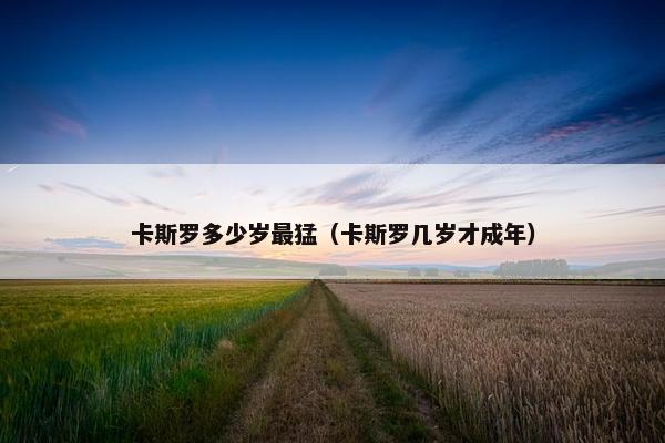 卡斯罗多少岁最猛（卡斯罗几岁才成年）