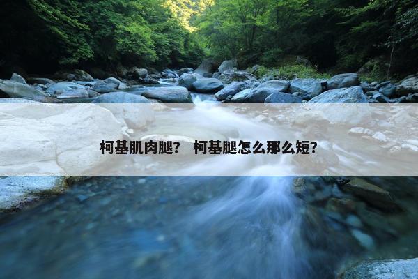 柯基肌肉腿？ 柯基腿怎么那么短？