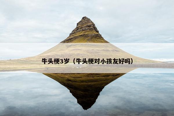 牛头梗3岁（牛头梗对小孩友好吗）