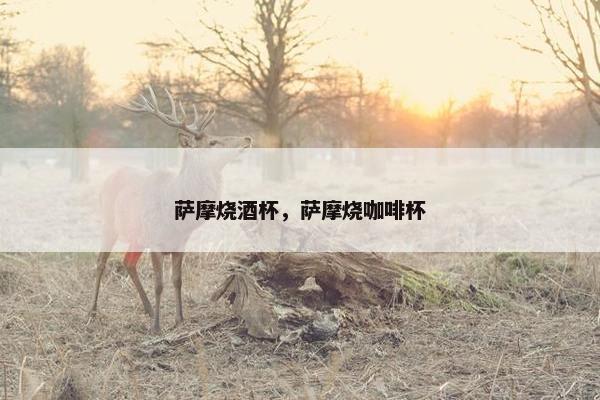萨摩烧酒杯，萨摩烧咖啡杯
