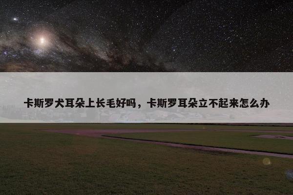 卡斯罗犬耳朵上长毛好吗，卡斯罗耳朵立不起来怎么办