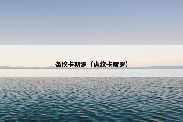 条纹卡斯罗（虎纹卡斯罗）