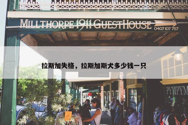 拉斯加失格，拉斯加斯犬多少钱一只