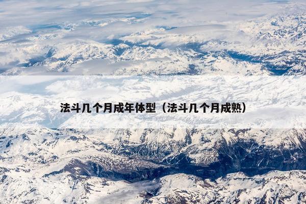 法斗几个月成年体型（法斗几个月成熟）