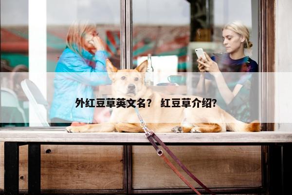 外红豆草英文名？ 红豆草介绍？