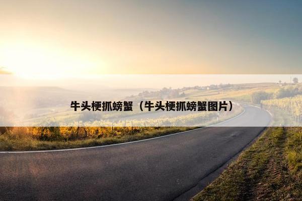 牛头梗抓螃蟹（牛头梗抓螃蟹图片）