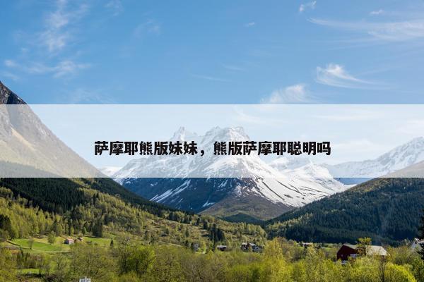 萨摩耶熊版妹妹，熊版萨摩耶聪明吗