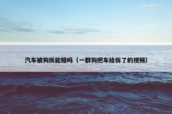 汽车被狗拆能赔吗（一群狗把车给拆了的视频）