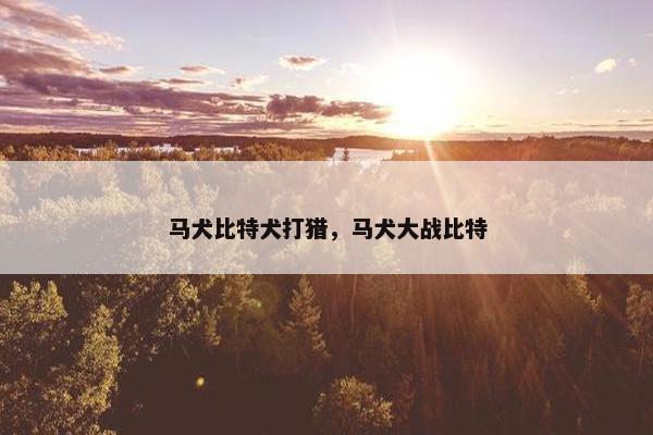 马犬比特犬打猎，马犬大战比特