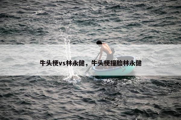 牛头梗vs林永健，牛头梗撞脸林永健