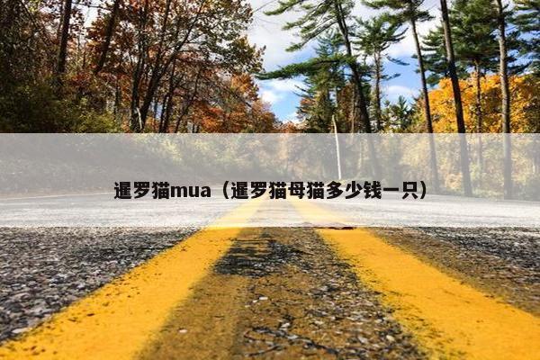 暹罗猫mua（暹罗猫母猫多少钱一只）