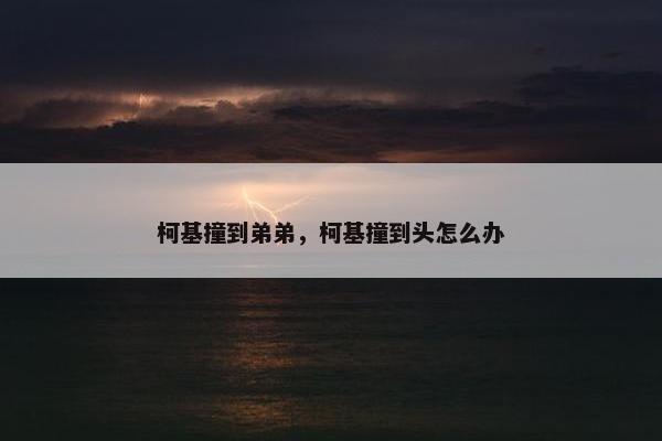 柯基撞到弟弟，柯基撞到头怎么办