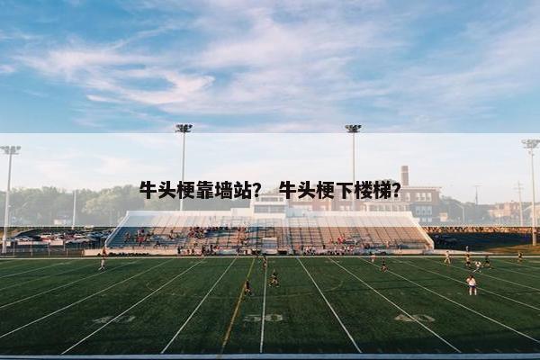 牛头梗靠墙站？ 牛头梗下楼梯？