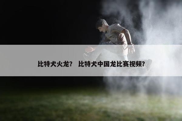 比特犬火龙？ 比特犬中国龙比赛视频？