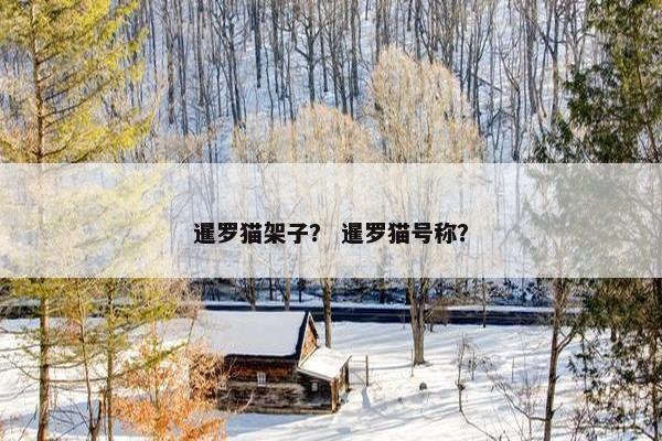 暹罗猫架子？ 暹罗猫号称？