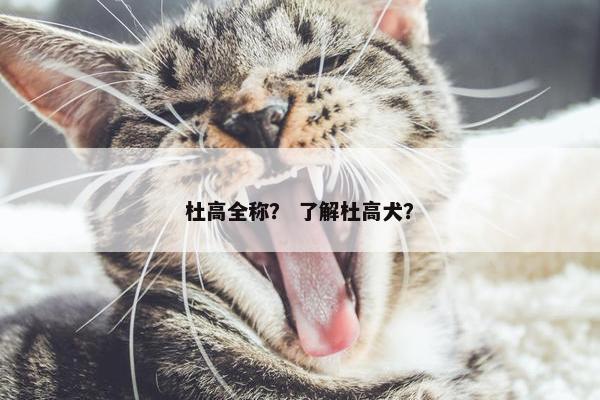 杜高全称？ 了解杜高犬？