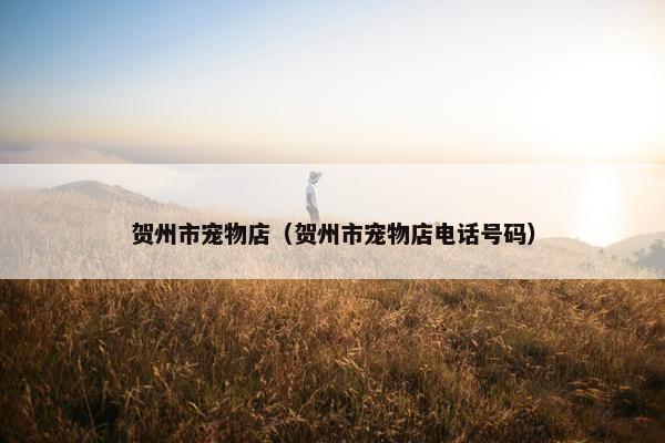 贺州市宠物店（贺州市宠物店电话号码）